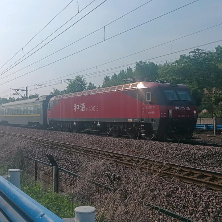 纸局兔子