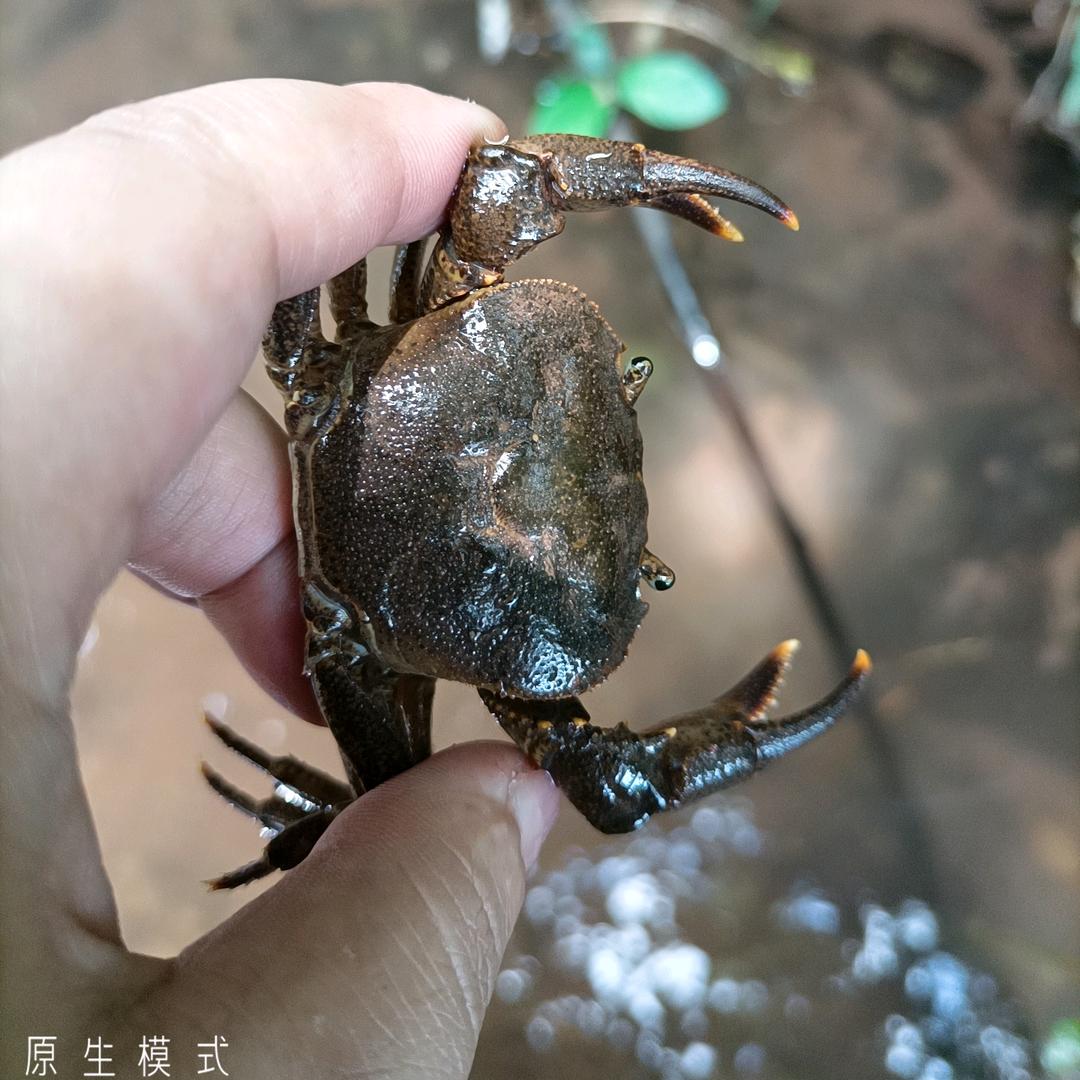 @：一见如顾♛
