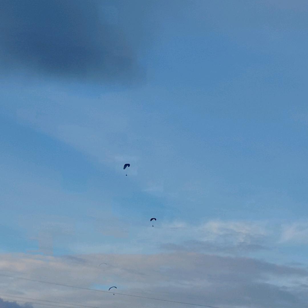 自由的鱼🐟（鱿惑土炮钩）