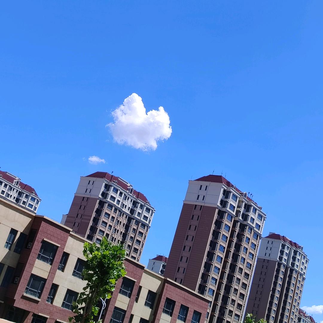 追求。。。。。