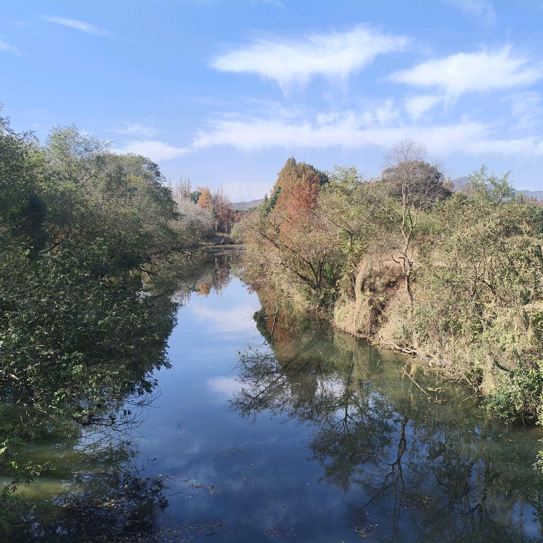 相逢何必曾相识⸝૮ º