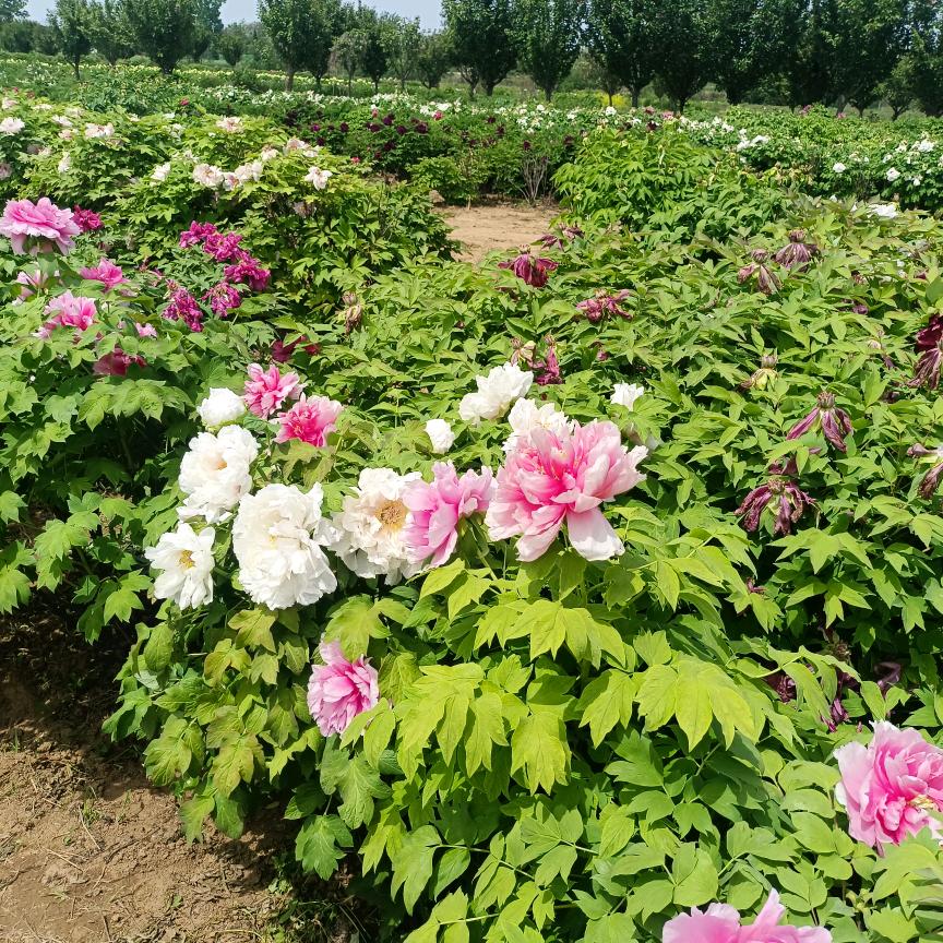 努力奋斗，幸福快乐