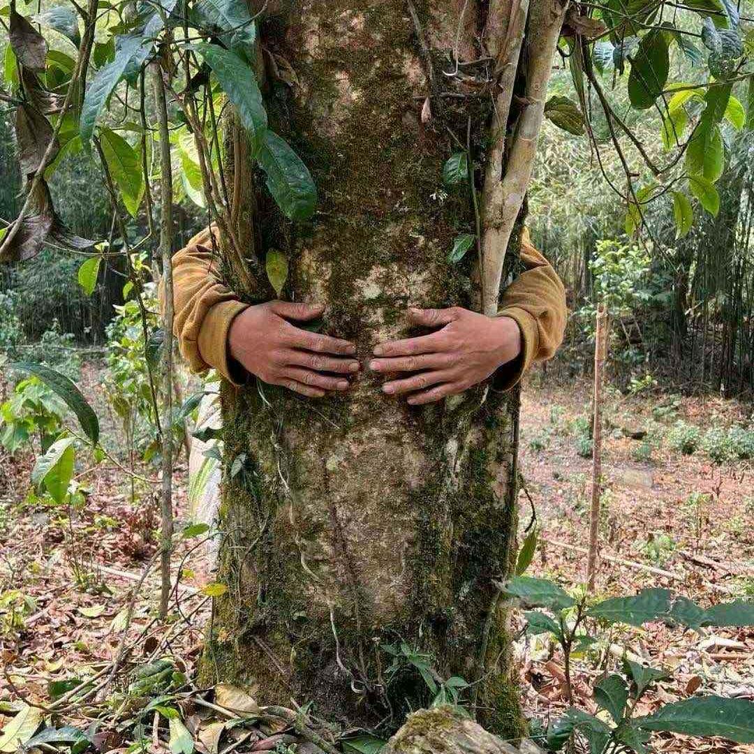 知穆欣体育（365换鞋吧）