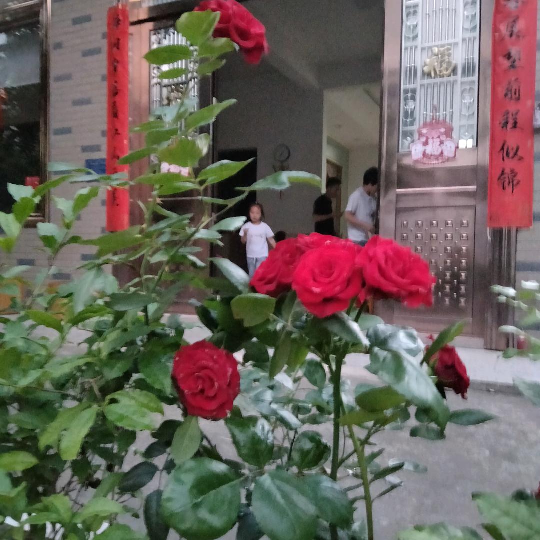 林华