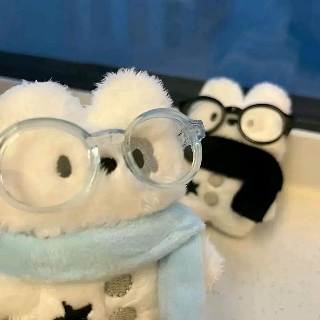 小灰灰