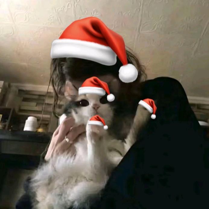 被屎憋醒的母蟑螂