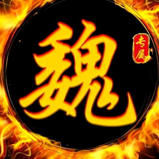 ，，*╭︎( ˙º╯︎*魏我独尊*╭