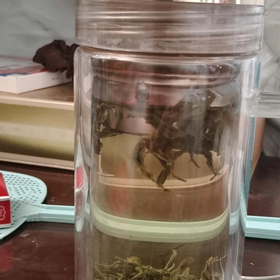 有一双好的儿女皖年最幸福、