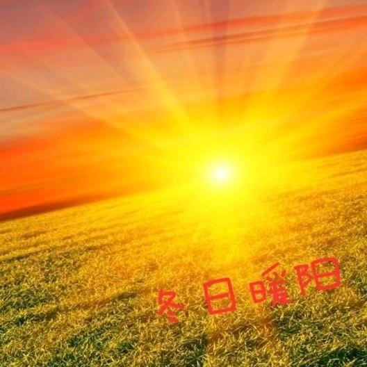 暖阳好物