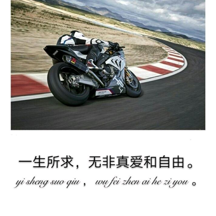 猪GG