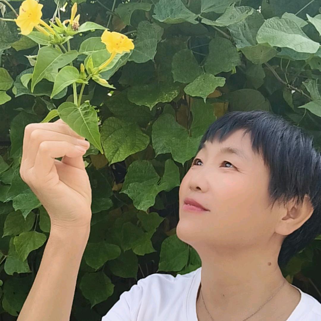 珠珠