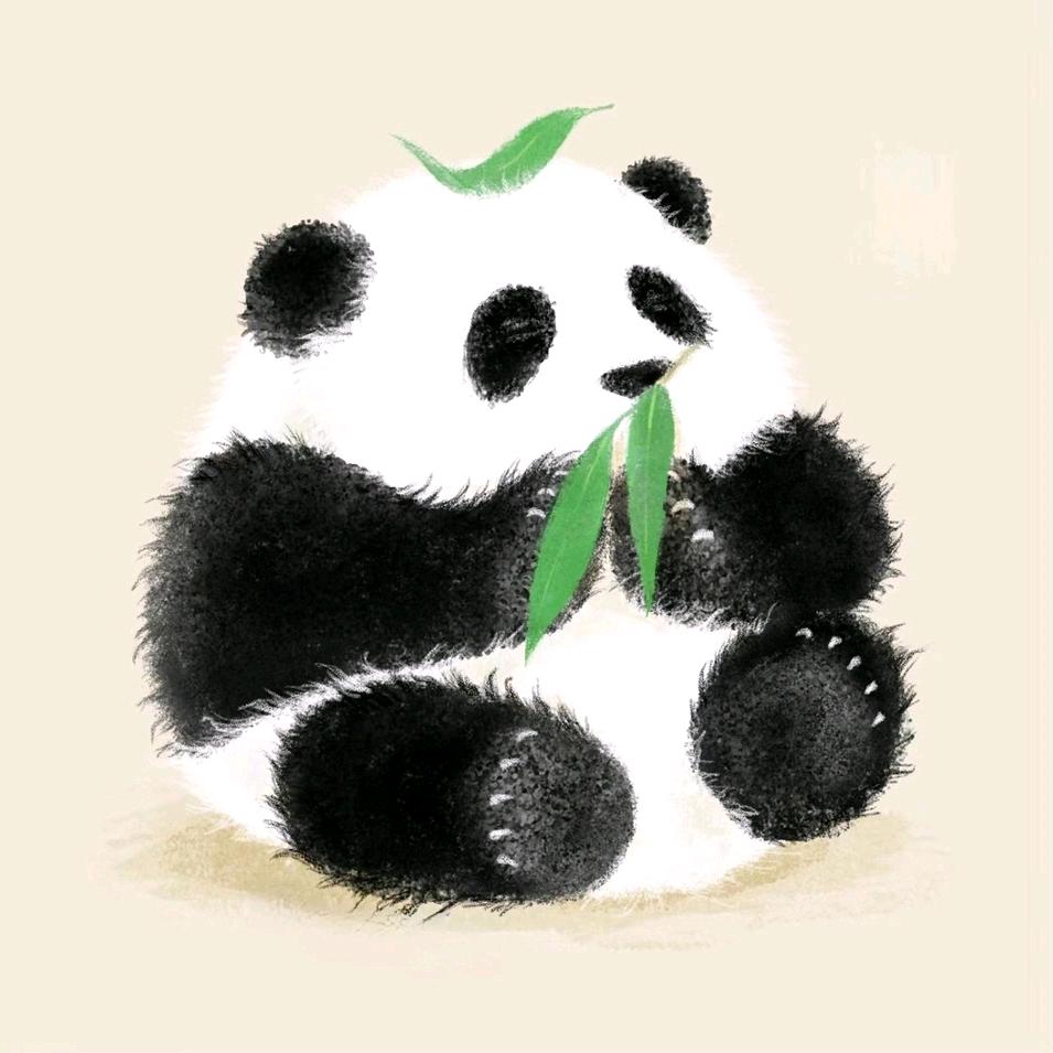 心宗