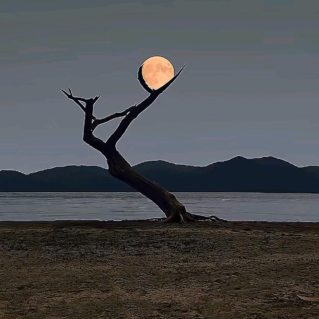 ﻩ8级狂风ﻩ