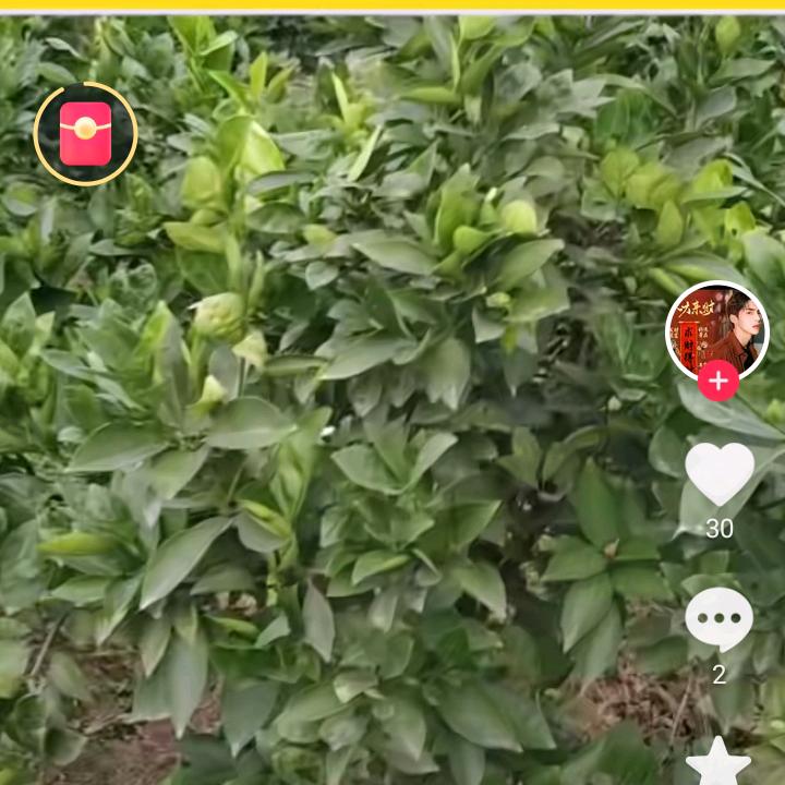 老牛不牛
