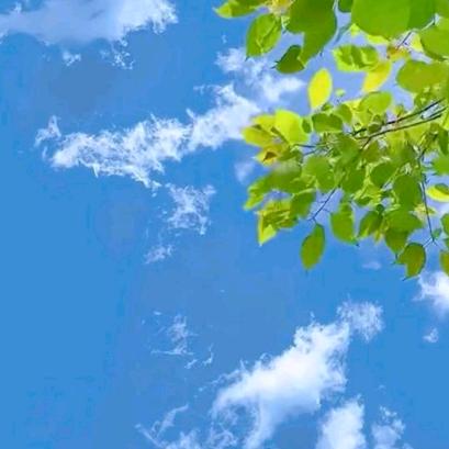 🚬笑敬ᝰꫛ过往ಇ᭄