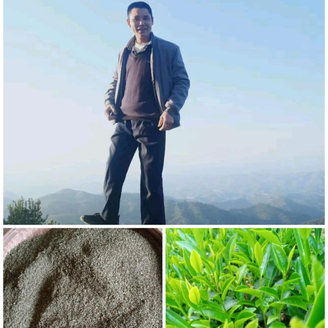 姓莊是我