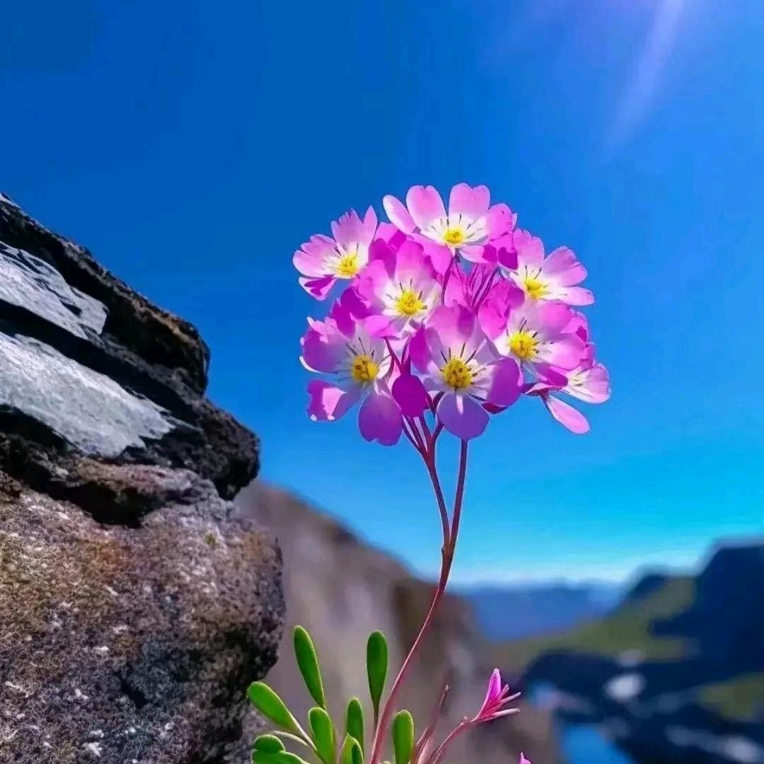 天山蓝