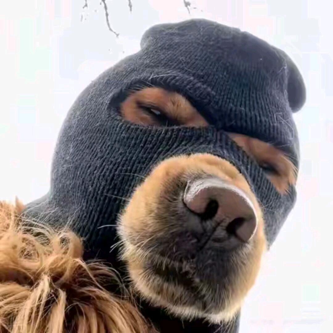 湘西吃货小分队