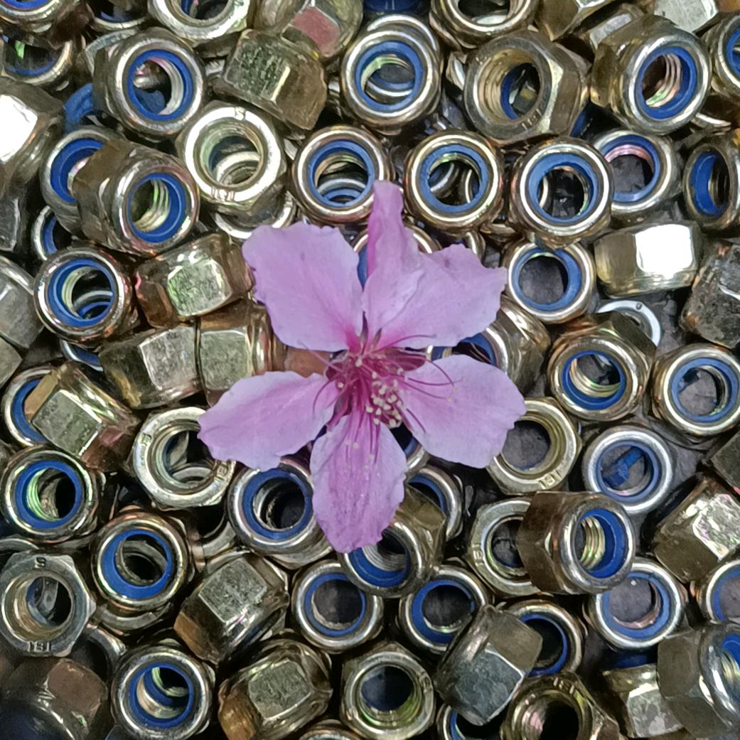 🍀语之蜜