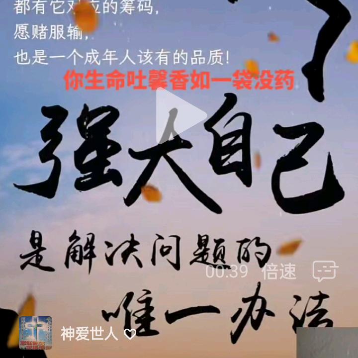 大道至简难得糊涂