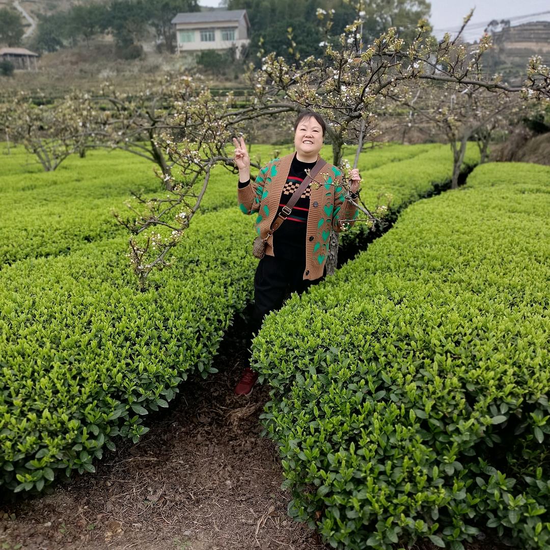 钟四妹