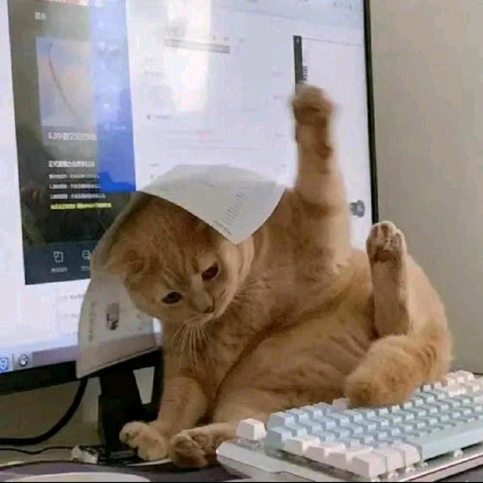 zhih.
