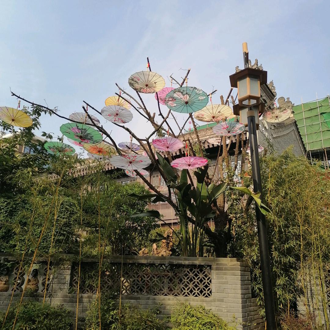 -小白