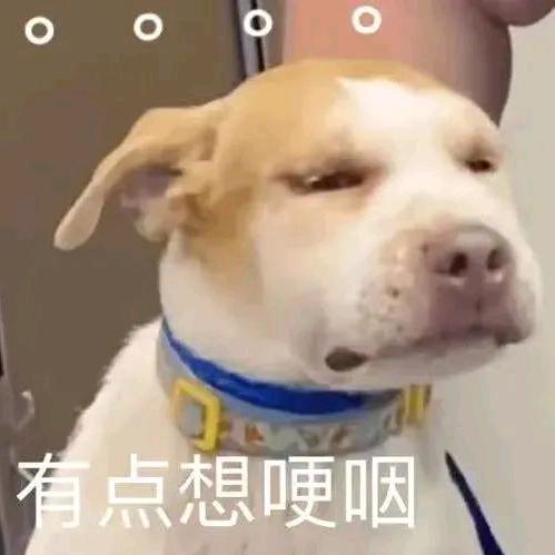 大便超人