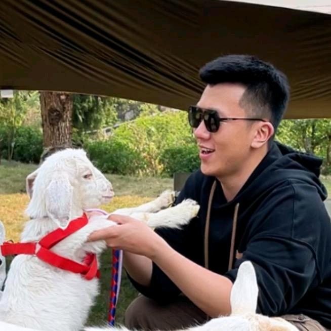 小虎🐯带你玩
