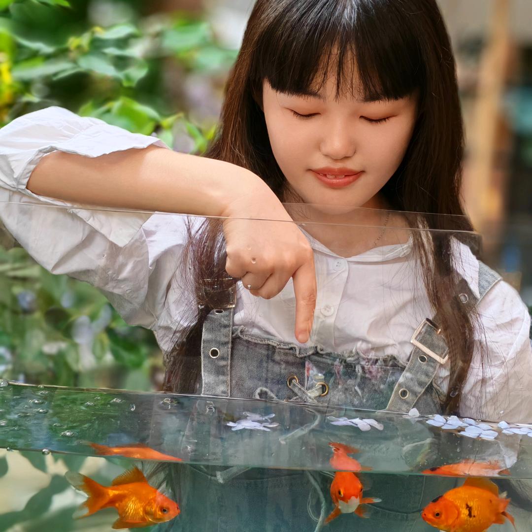 陌雨念