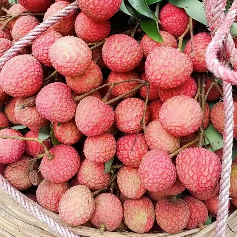 小程综合优品小铺