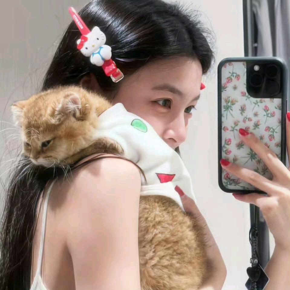 张张不慌张の