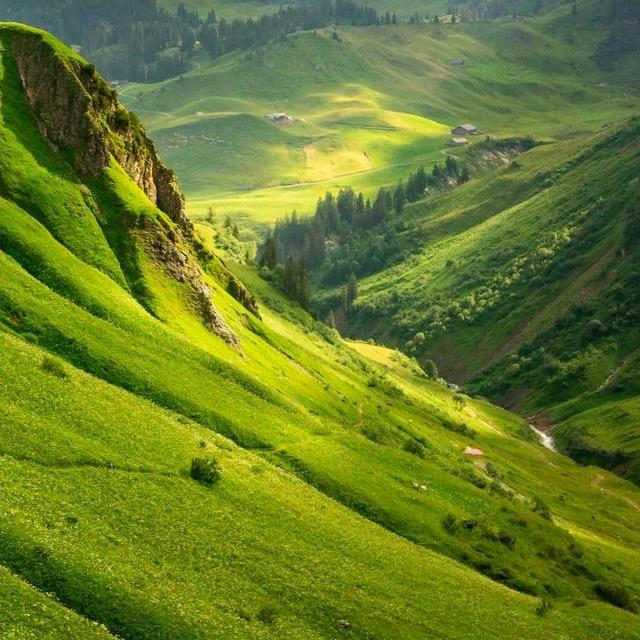 情难寻，心难换