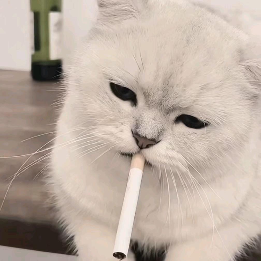 嘻哈