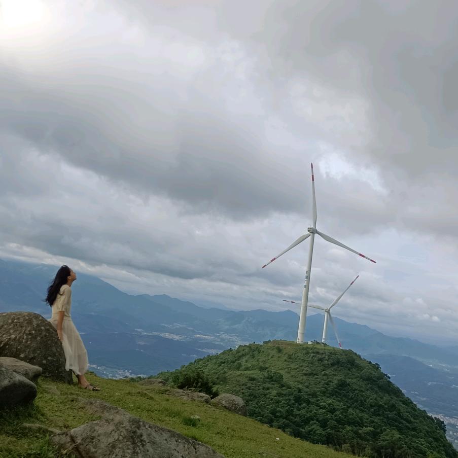 悦悦