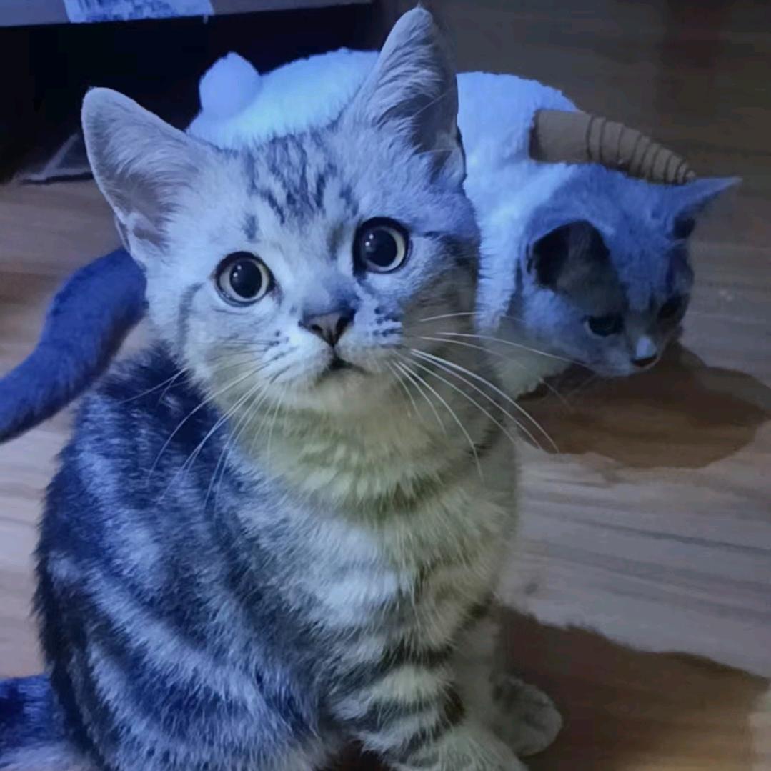 你的人生刚开始