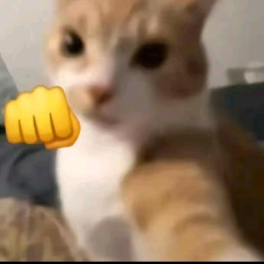 不会原谅这个世界的˃̣̣̥⌓˂̣̣̥