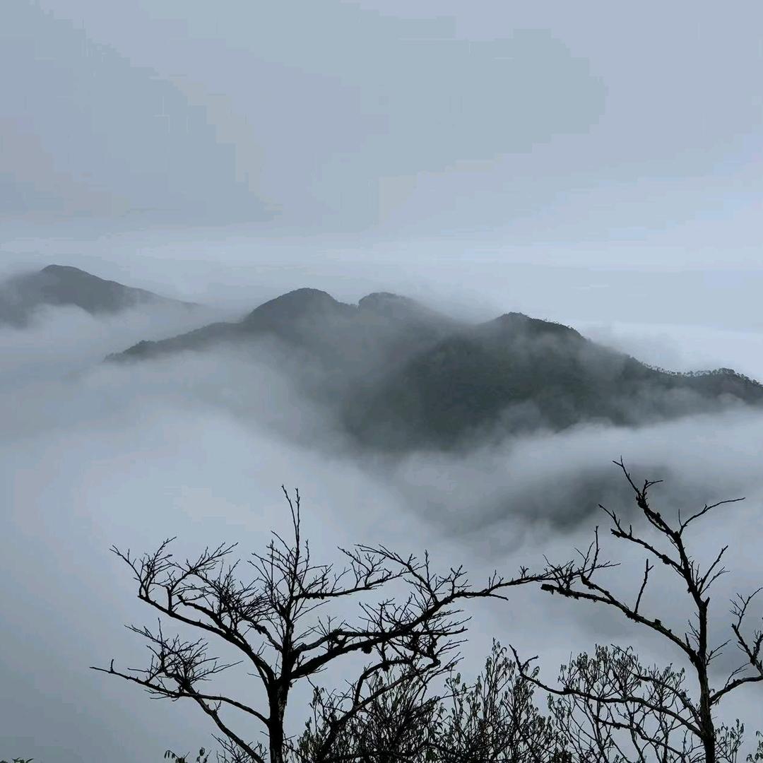 黄节林🇨🇳🇨🇳