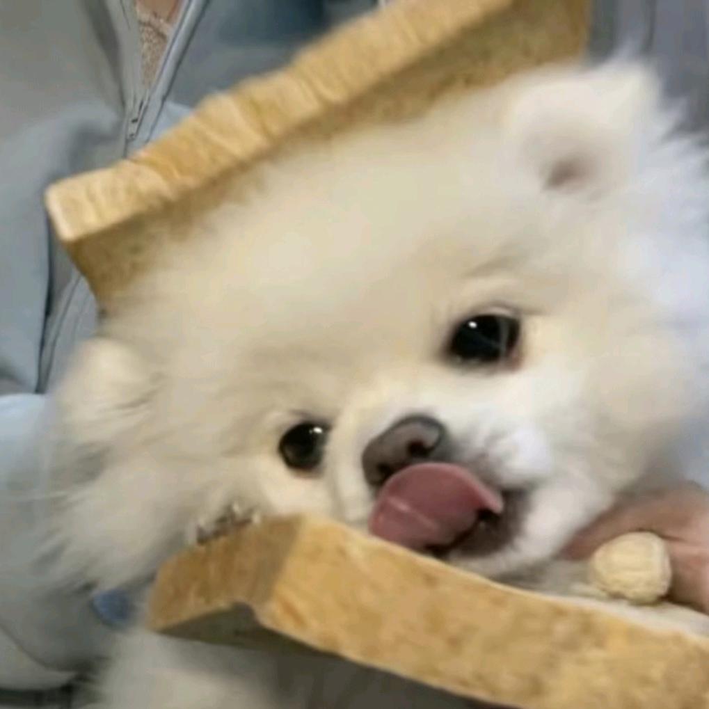 柚