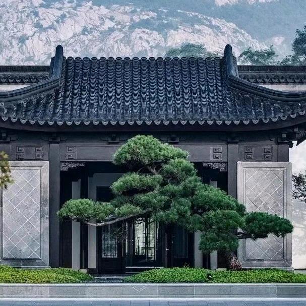 杭州富阳芊木哥