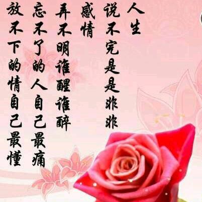 🥀এ᭄幸运ꦿ相随💔ഒᩚ࿐