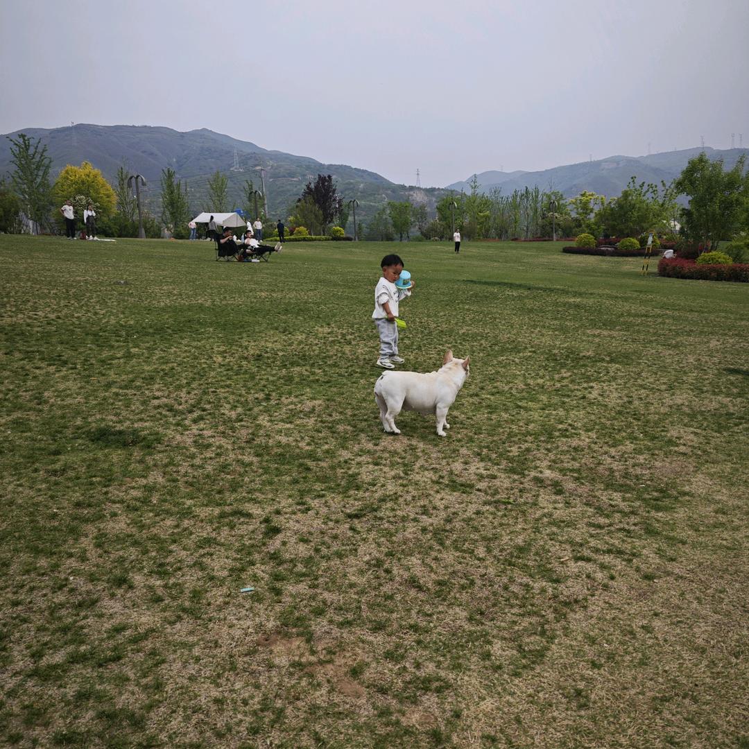 ●不发胖只发财●