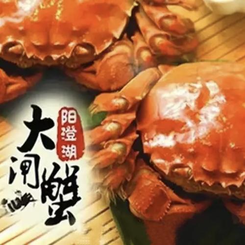 阳澄湖大闸蟹