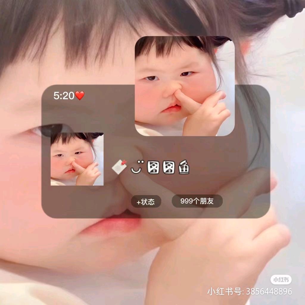 骑鲨鱼的常开心