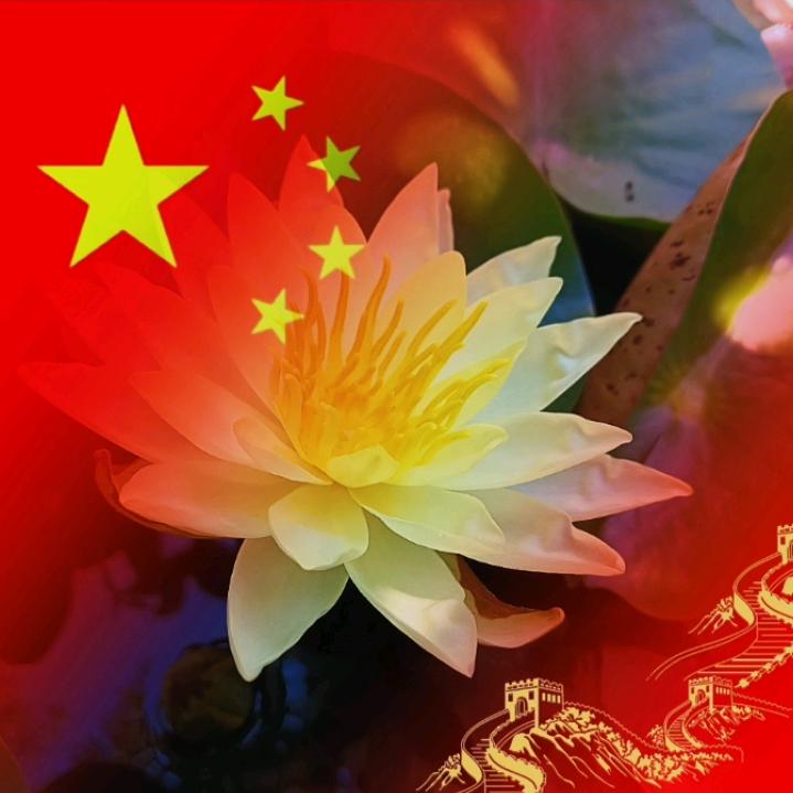 赵家妮白家媳(妞妈)