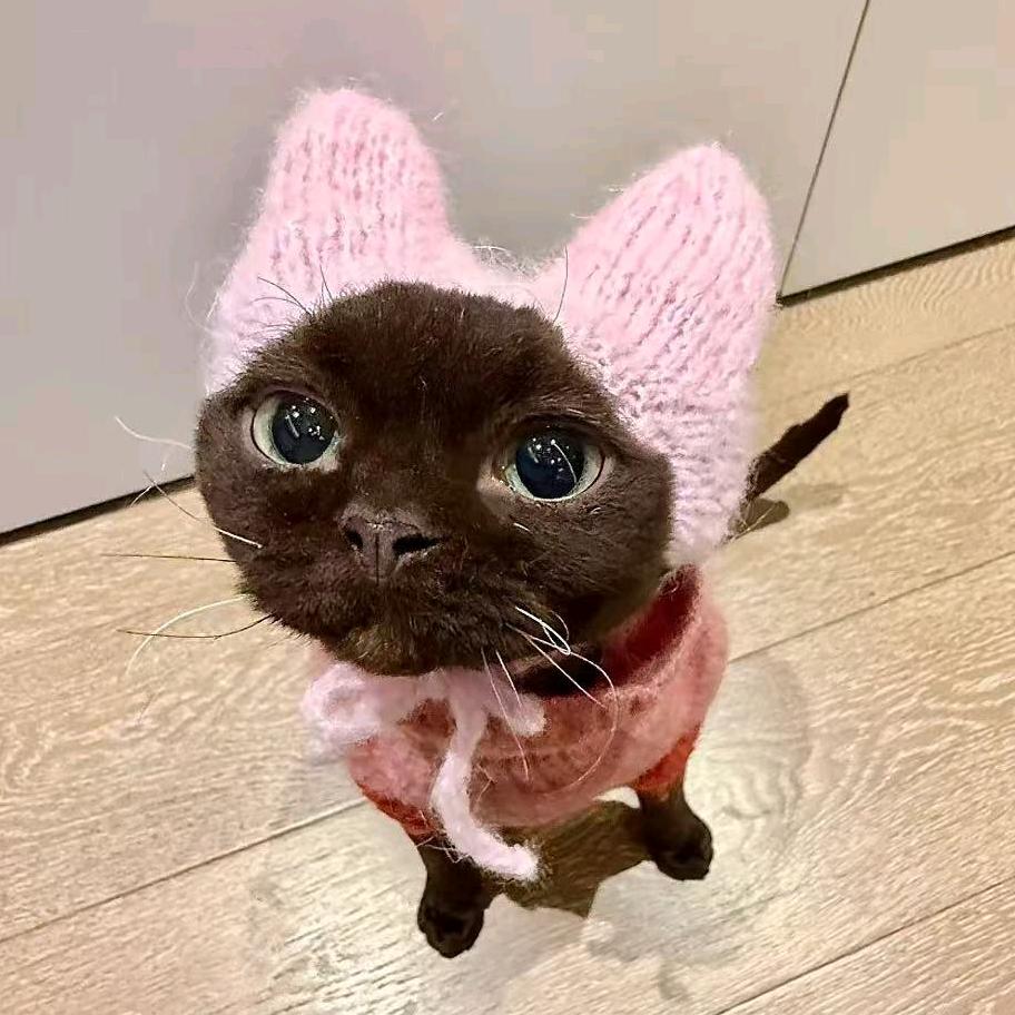 耿耿.