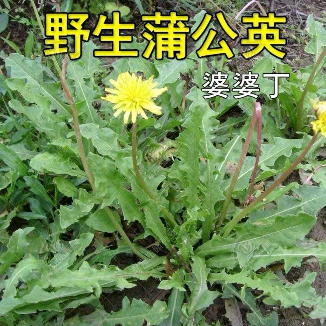利姐农耕岁月坊