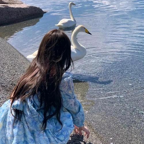 慧儿