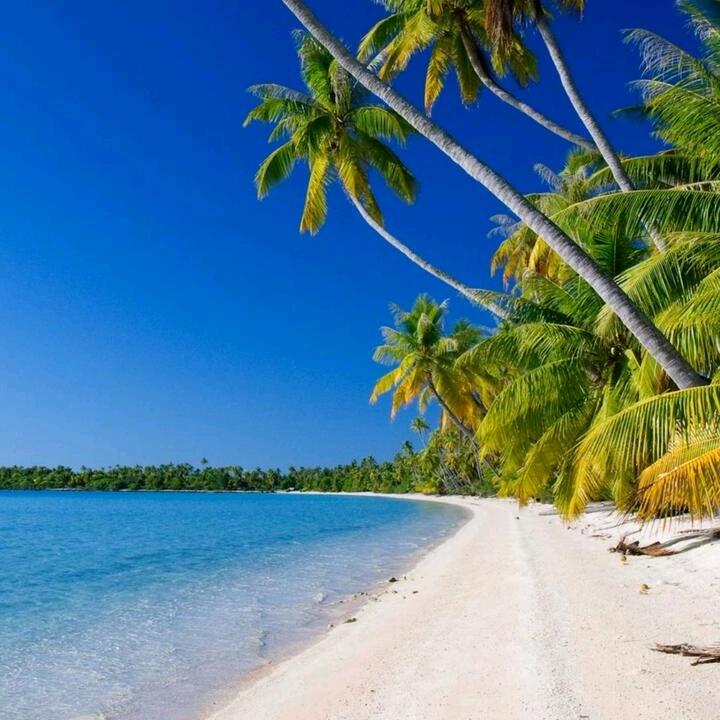 ☘三妹ꦿ💞ꦿ₁ᵌ₁⁴᭄