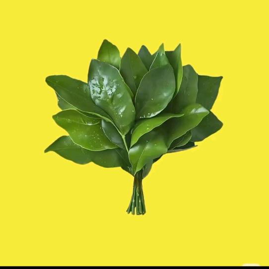 ʚ萌新ɞ🧸ྀི